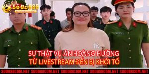 Sự Thật Vụ Án Hoàng Hường Từ Livestream Đến Bị Khởi Tố