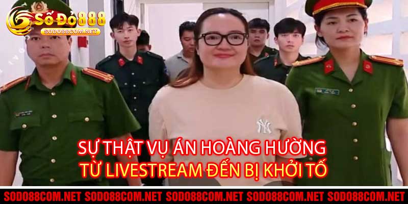 Sự Thật Vụ Án Hoàng Hường Từ Livestream Đến Bị Khởi Tố